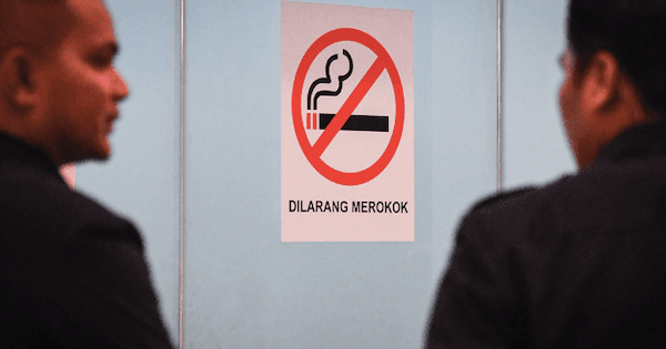 A description of the image