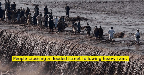 A description of the image