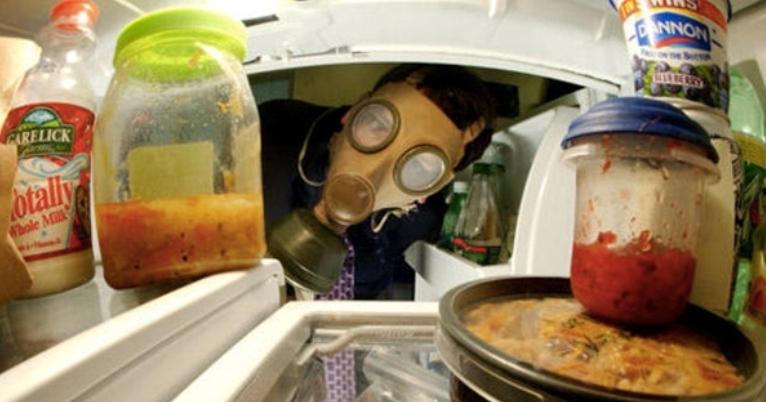 A description of the image