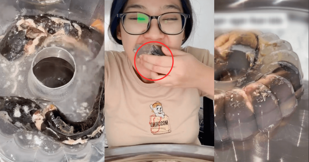 A description of the image