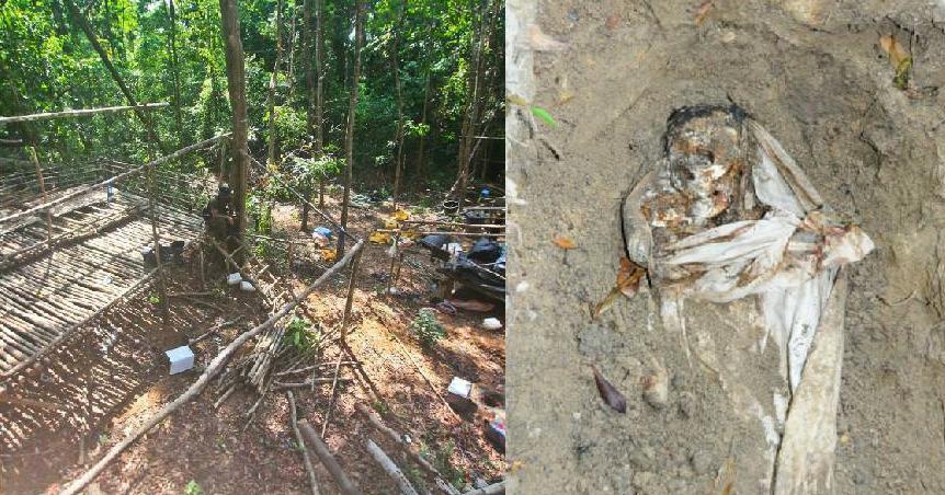 A description of the image