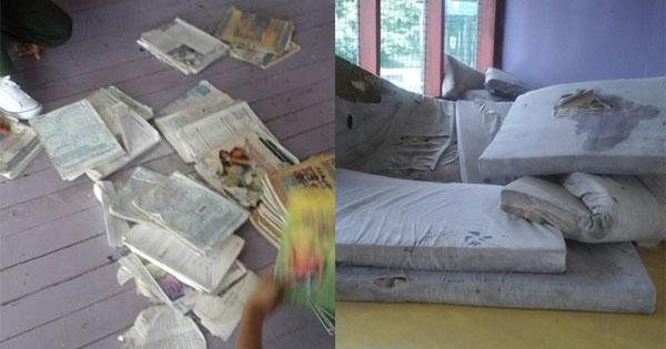 A description of the image