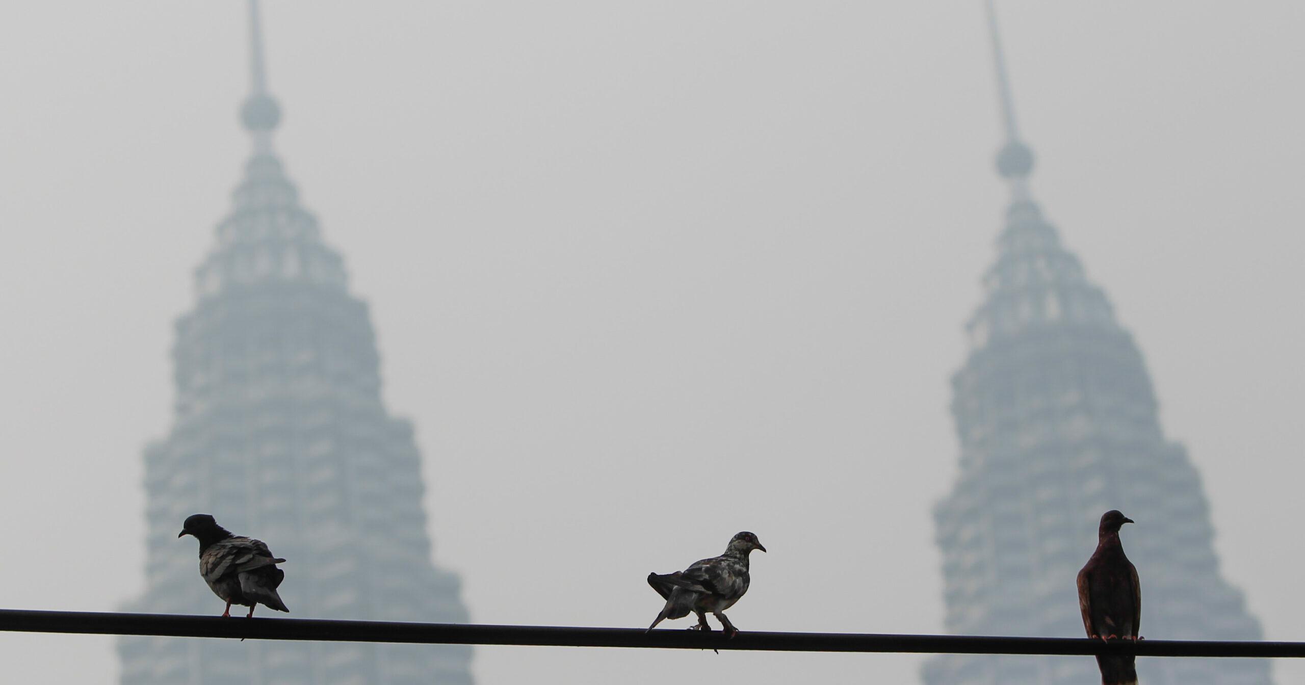 A description of the image