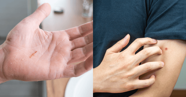 A description of the image