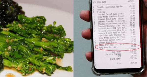 A description of the image