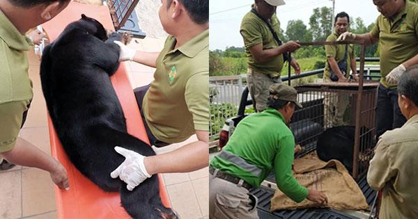 A description of the image