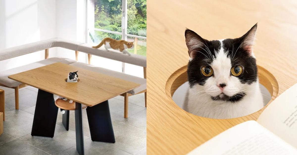 A description of the image