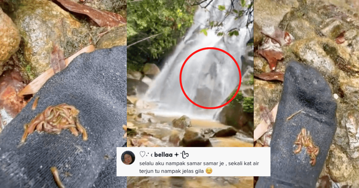 A description of the image