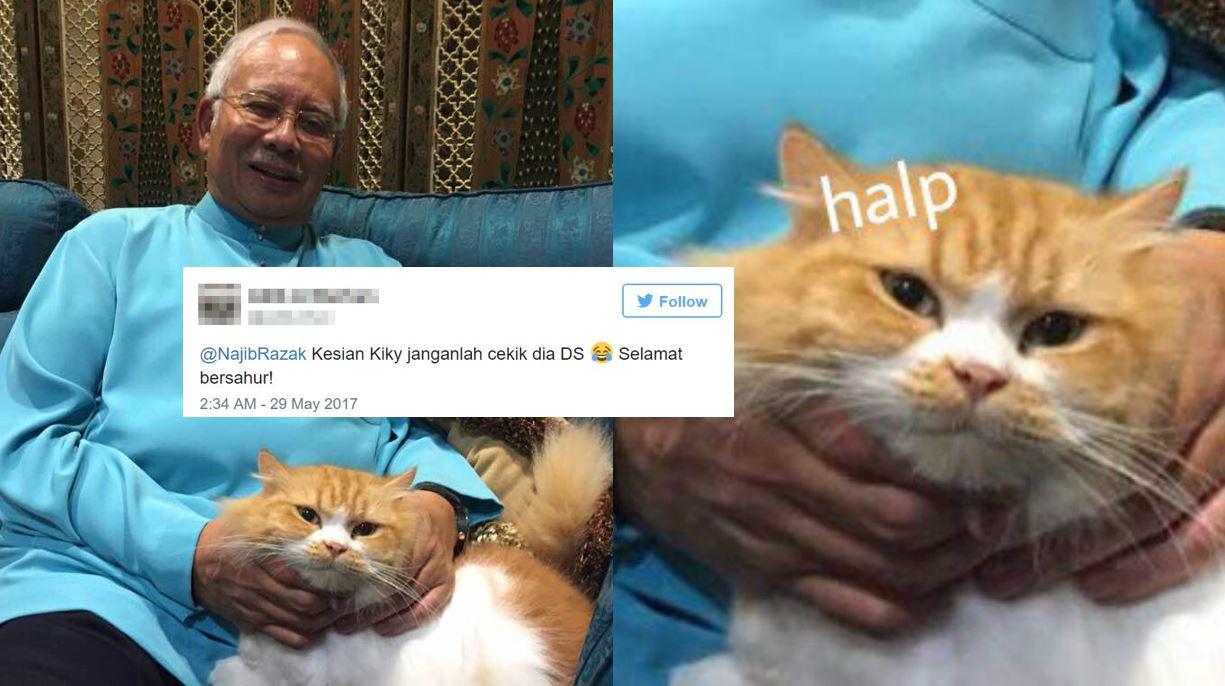 A description of the image