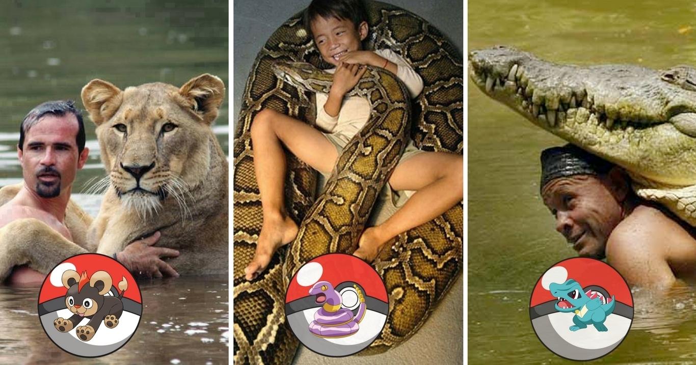 A description of the image