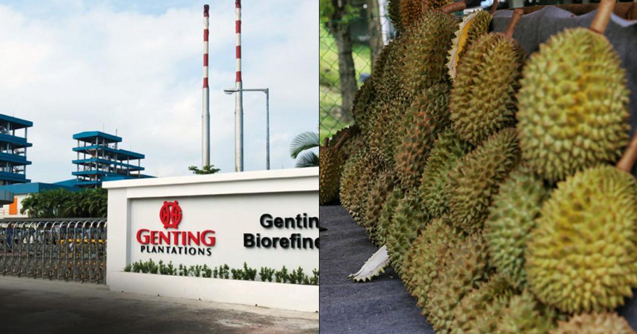 A description of the image