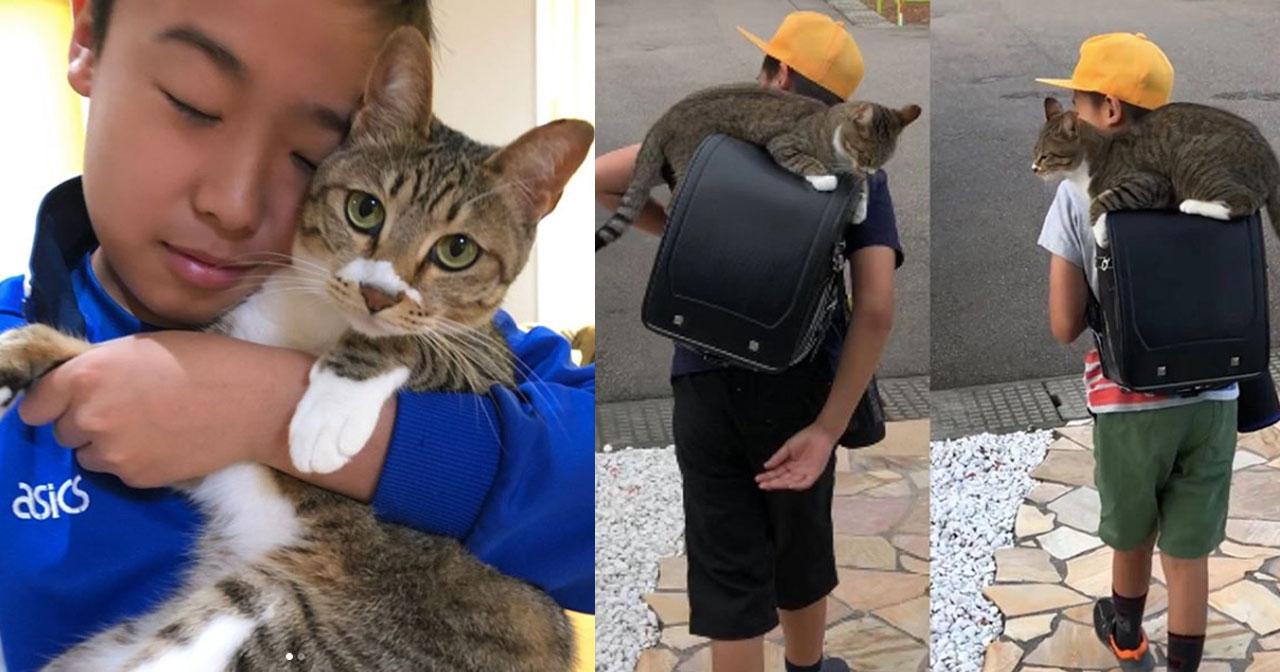 A description of the image