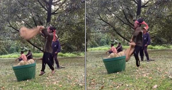 A description of the image