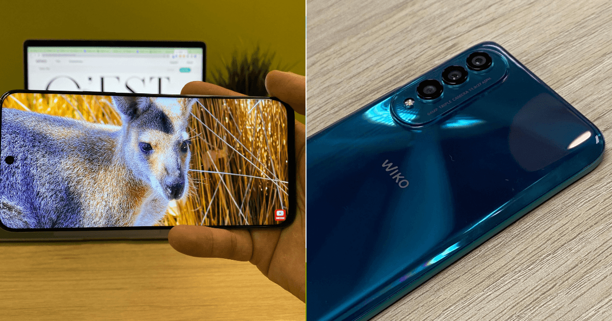 A description of the image