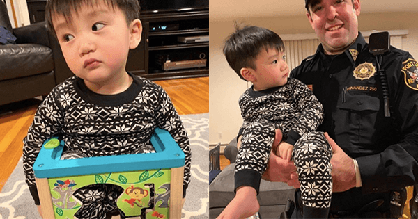 A description of the image