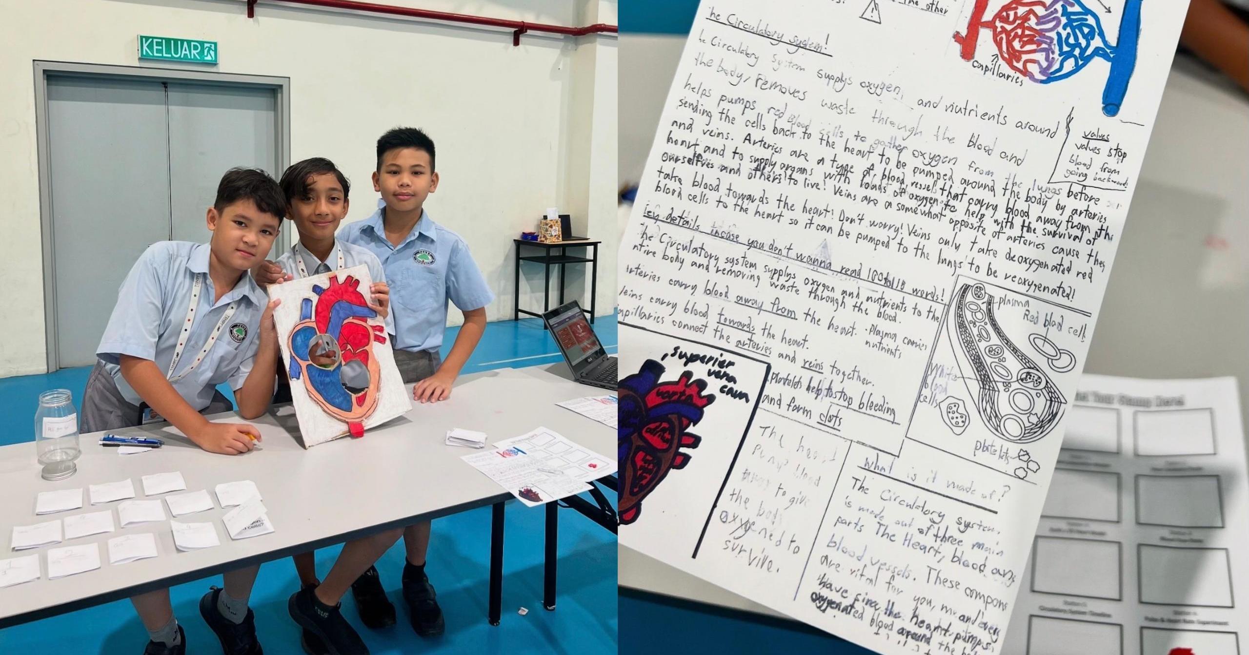 A description of the image