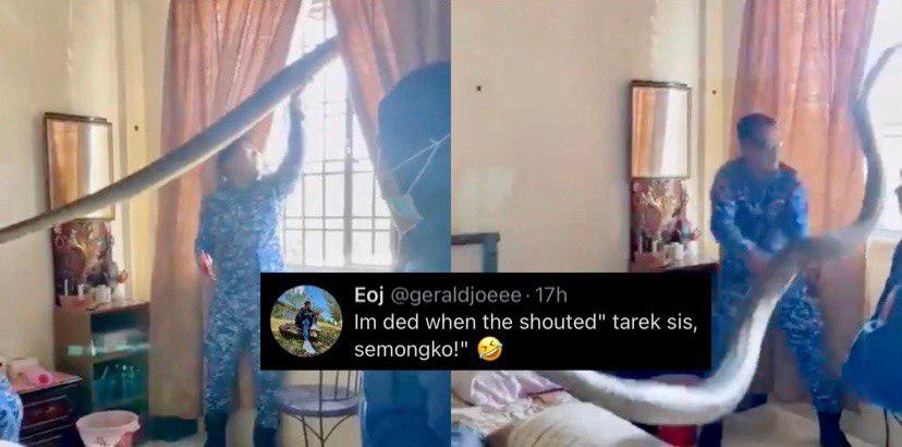 A description of the image