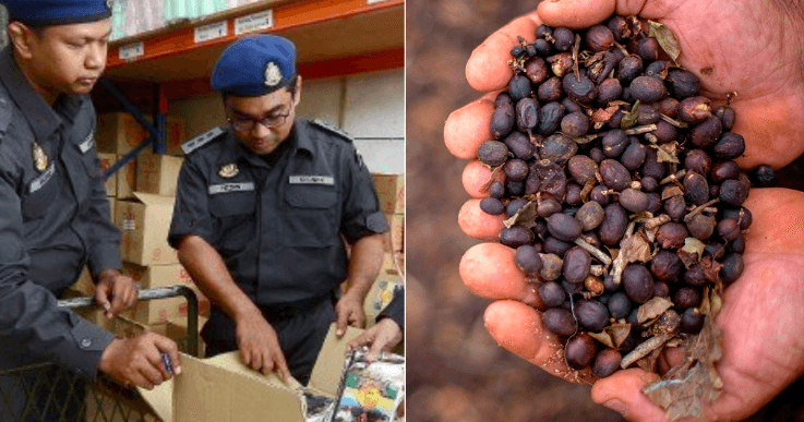 A description of the image