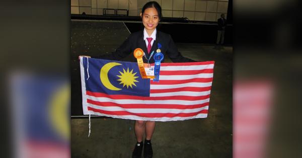 A description of the image