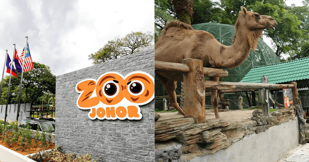 A description of the image