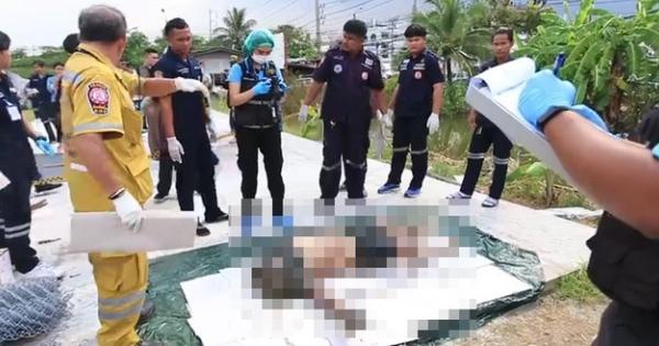 A description of the image