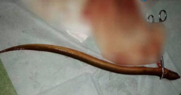 A description of the image