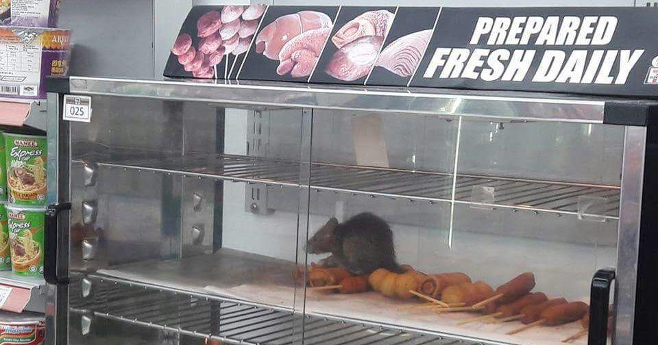 A description of the image