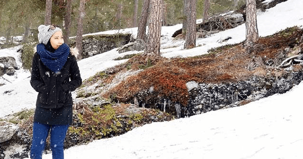 A description of the image