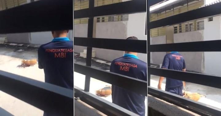 A description of the image