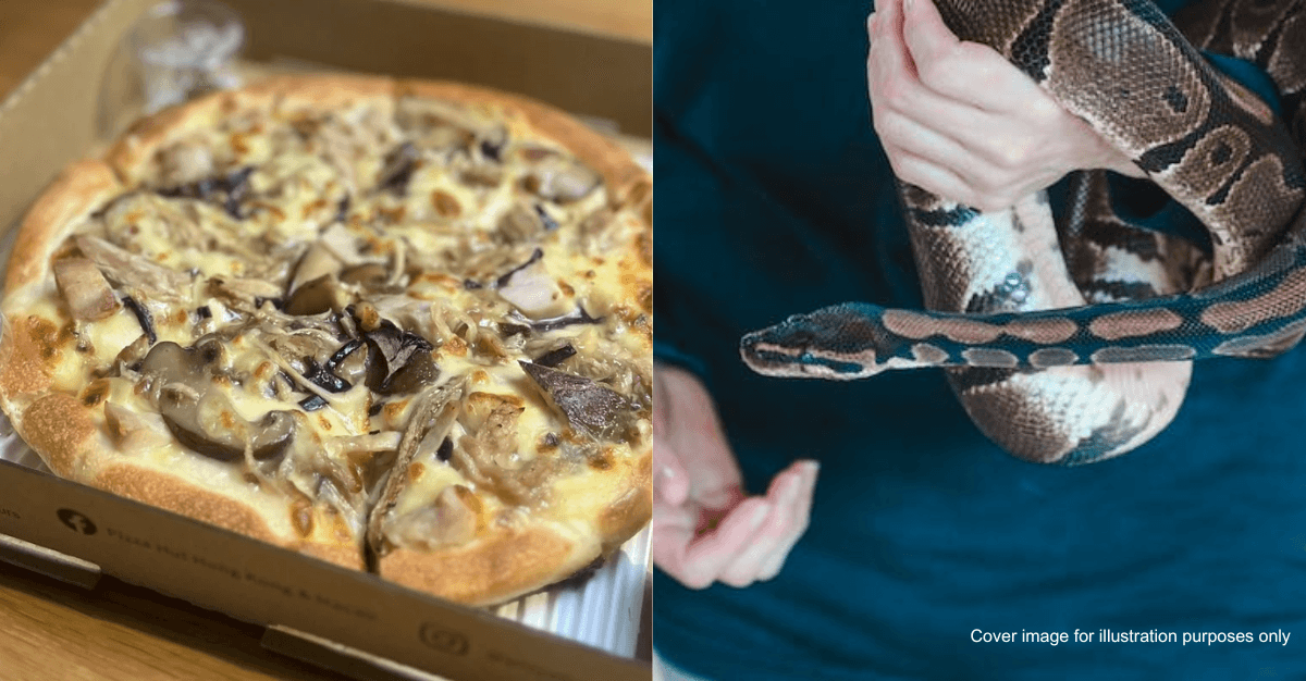 A description of the image