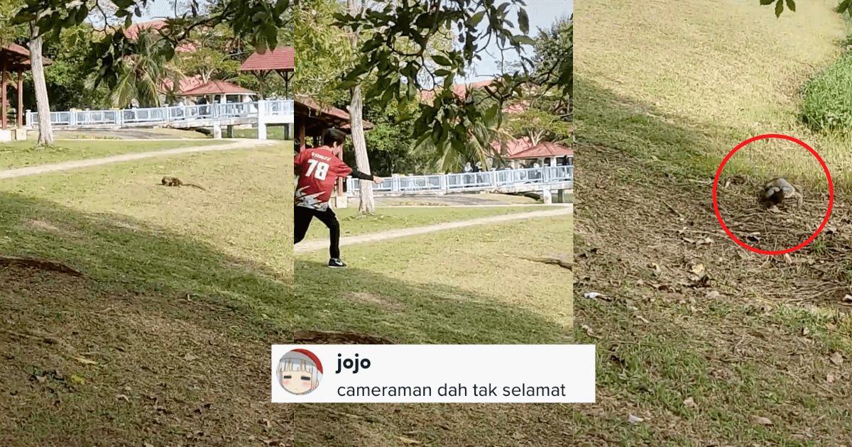 A description of the image