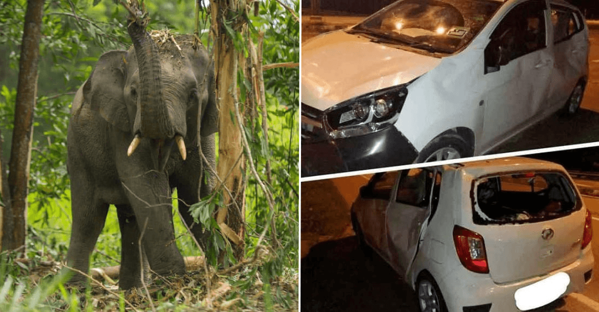 A description of the image