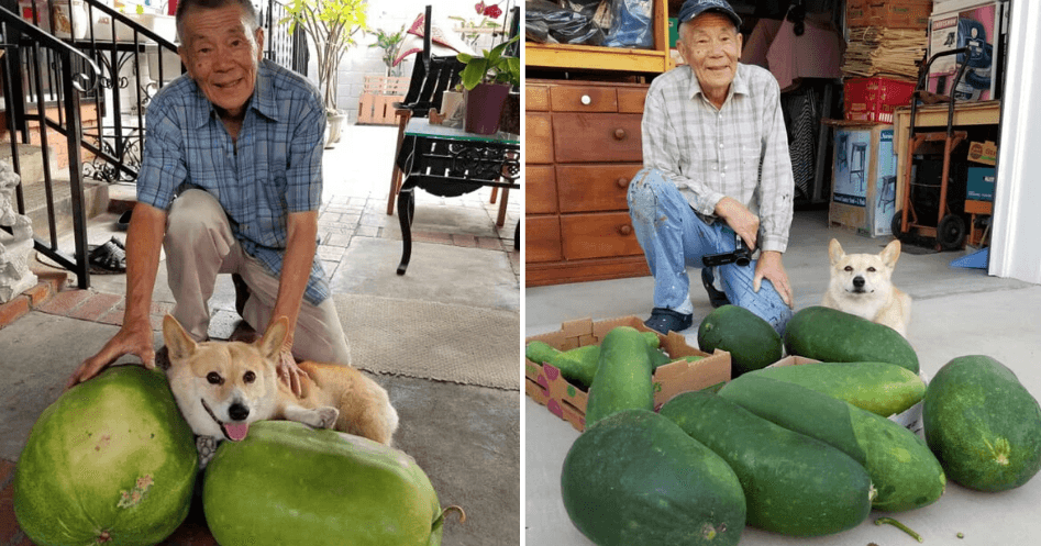 A description of the image