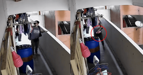 A description of the image