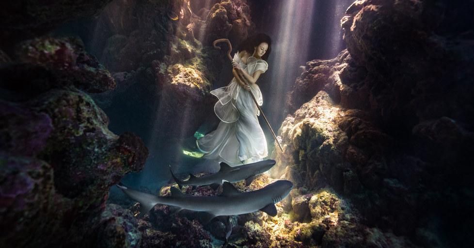 A description of the image