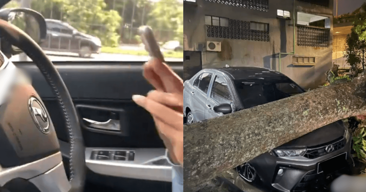 A description of the image