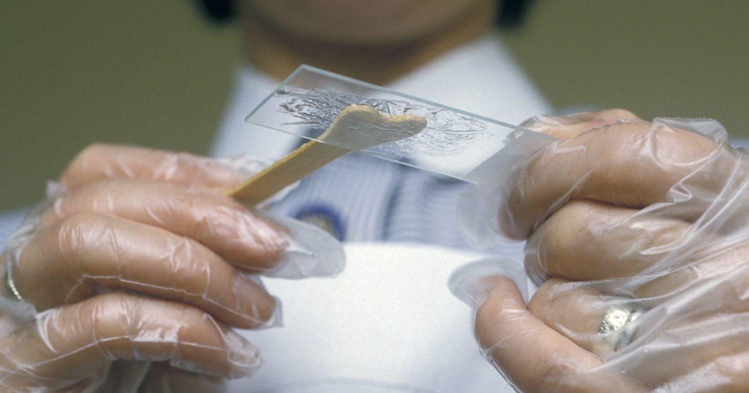 A description of the image