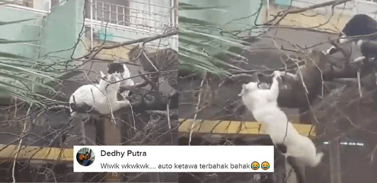 A description of the image