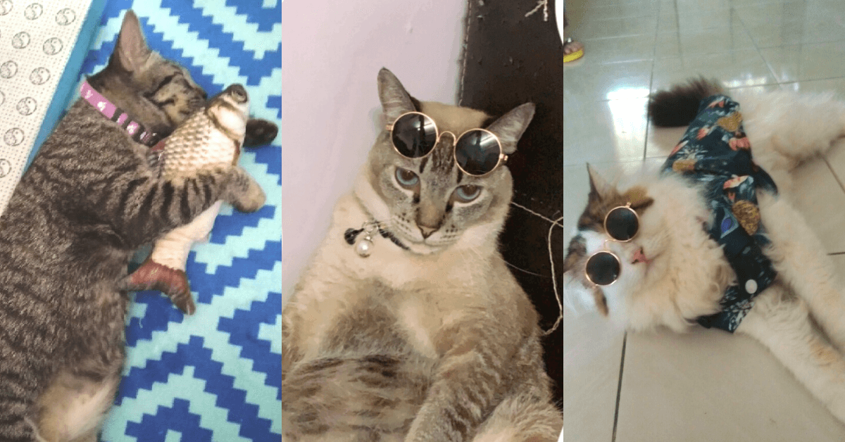 A description of the image