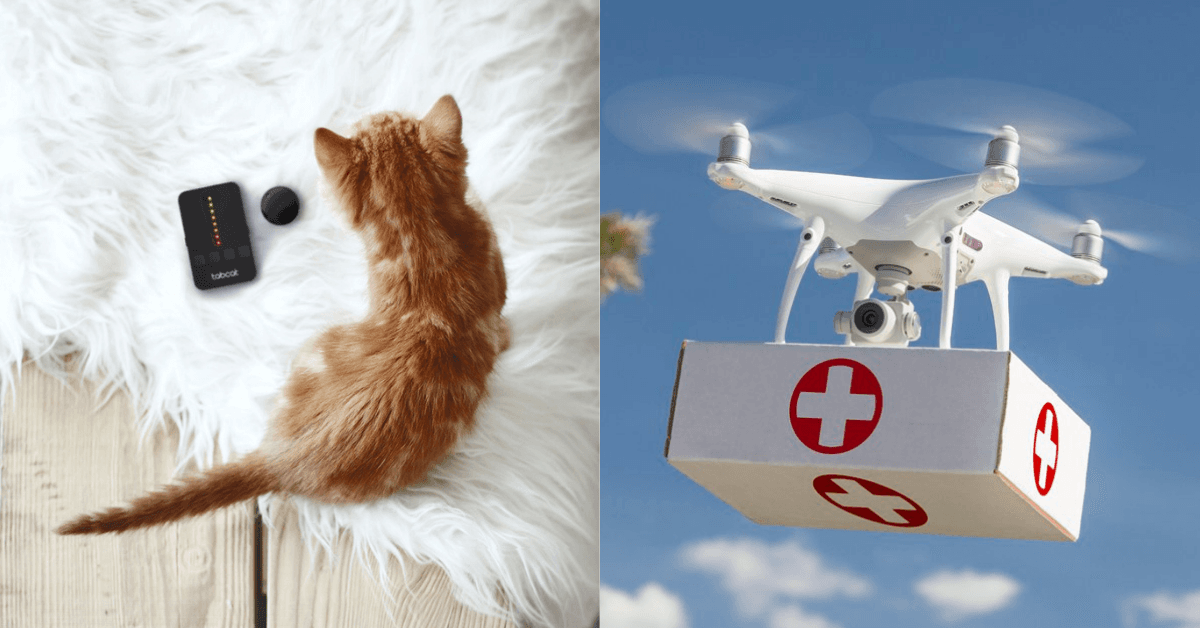 A description of the image