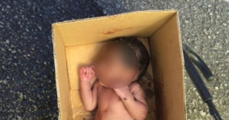 A description of the image