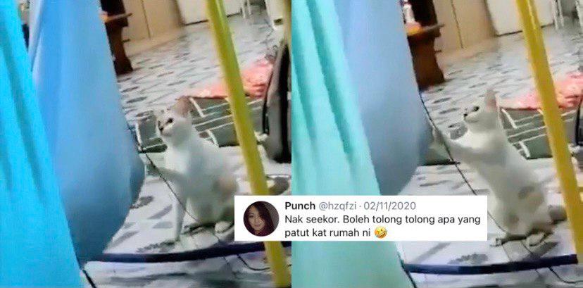 A description of the image