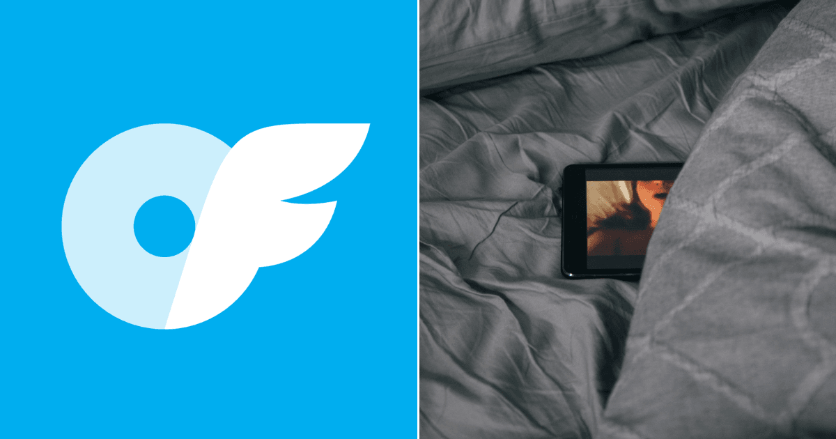 A description of the image