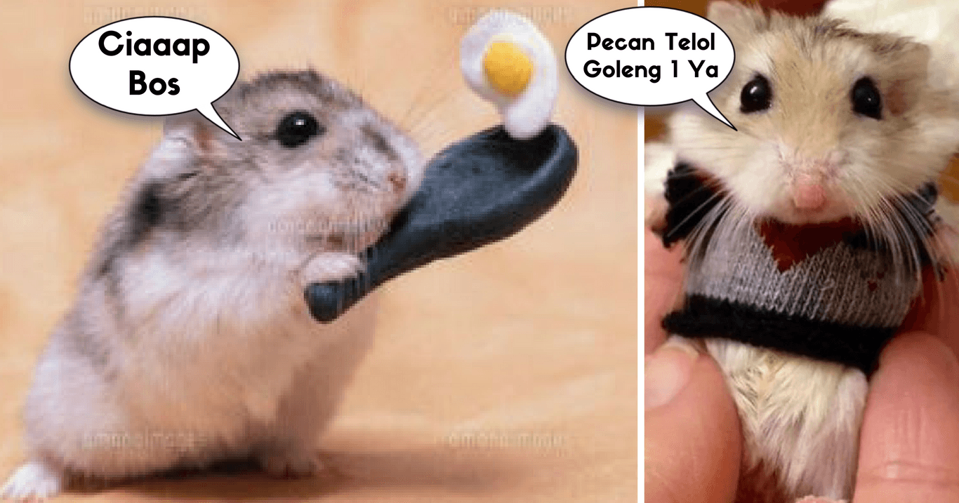 A description of the image