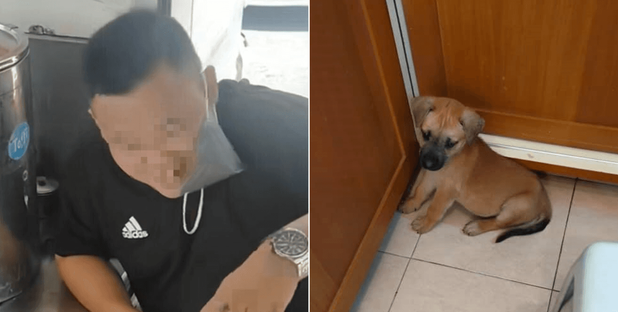 A description of the image