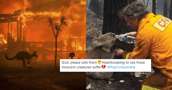 A description of the image