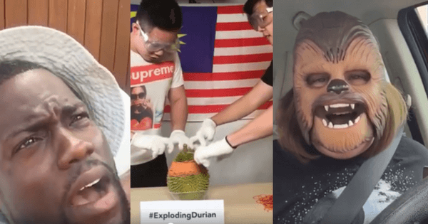 A description of the image