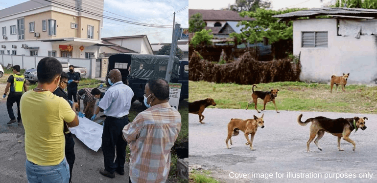 A description of the image