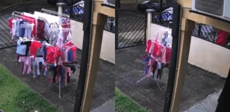 A description of the image