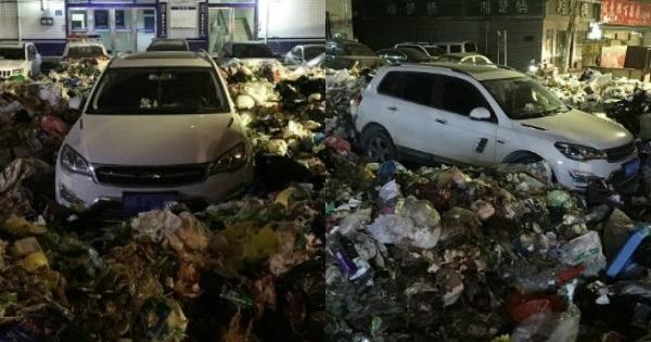 A description of the image